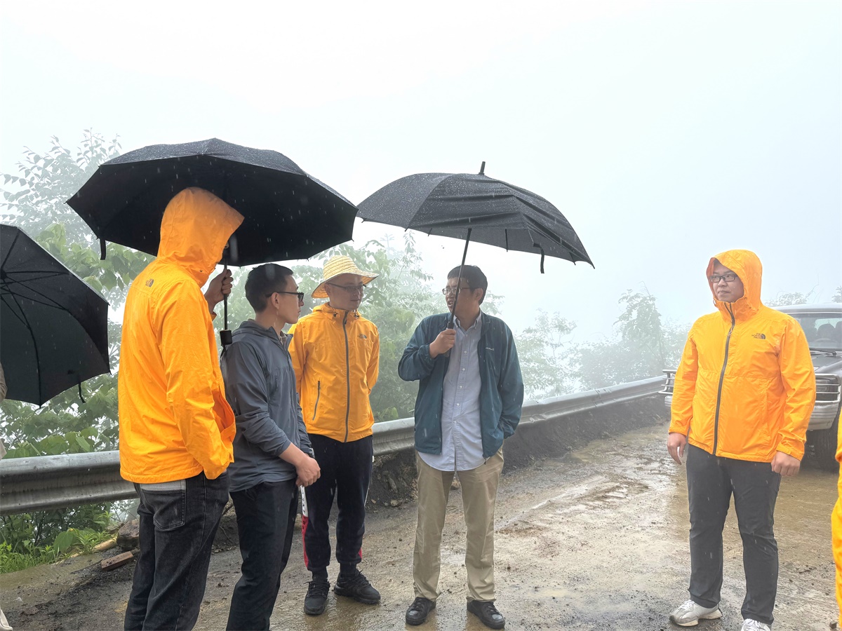 d36ca426-a50f-475a-92eb-220b14408b1a.jpg d36ca426-a50f-475a-92eb-220b14408b1a.jpg