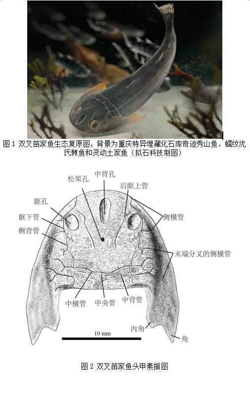 912--1.png 912--1.png